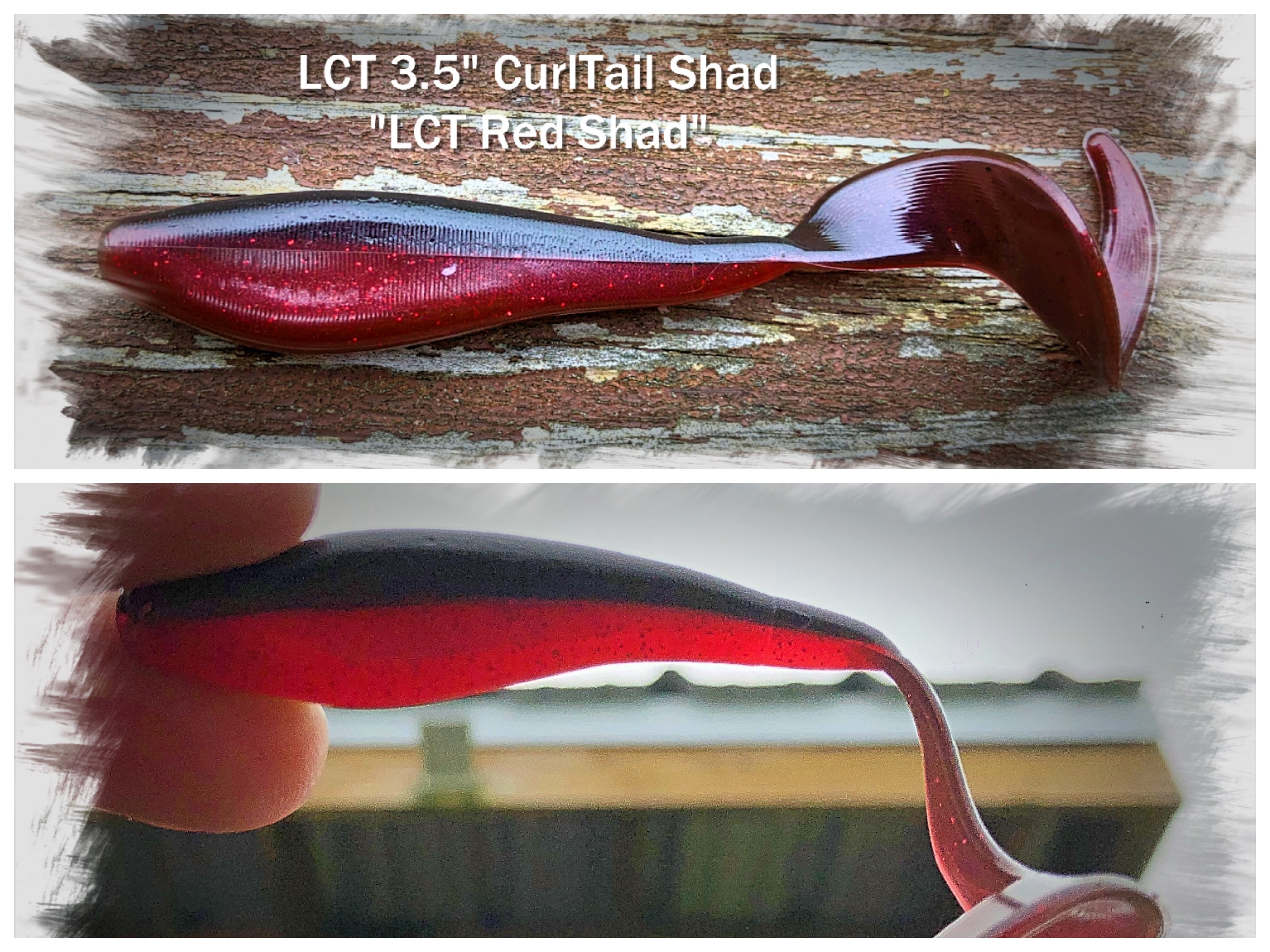 LCT 3.5″ CurlTail Shad (5 Pack) LCT Red Shad – Legacy Custom Tackle