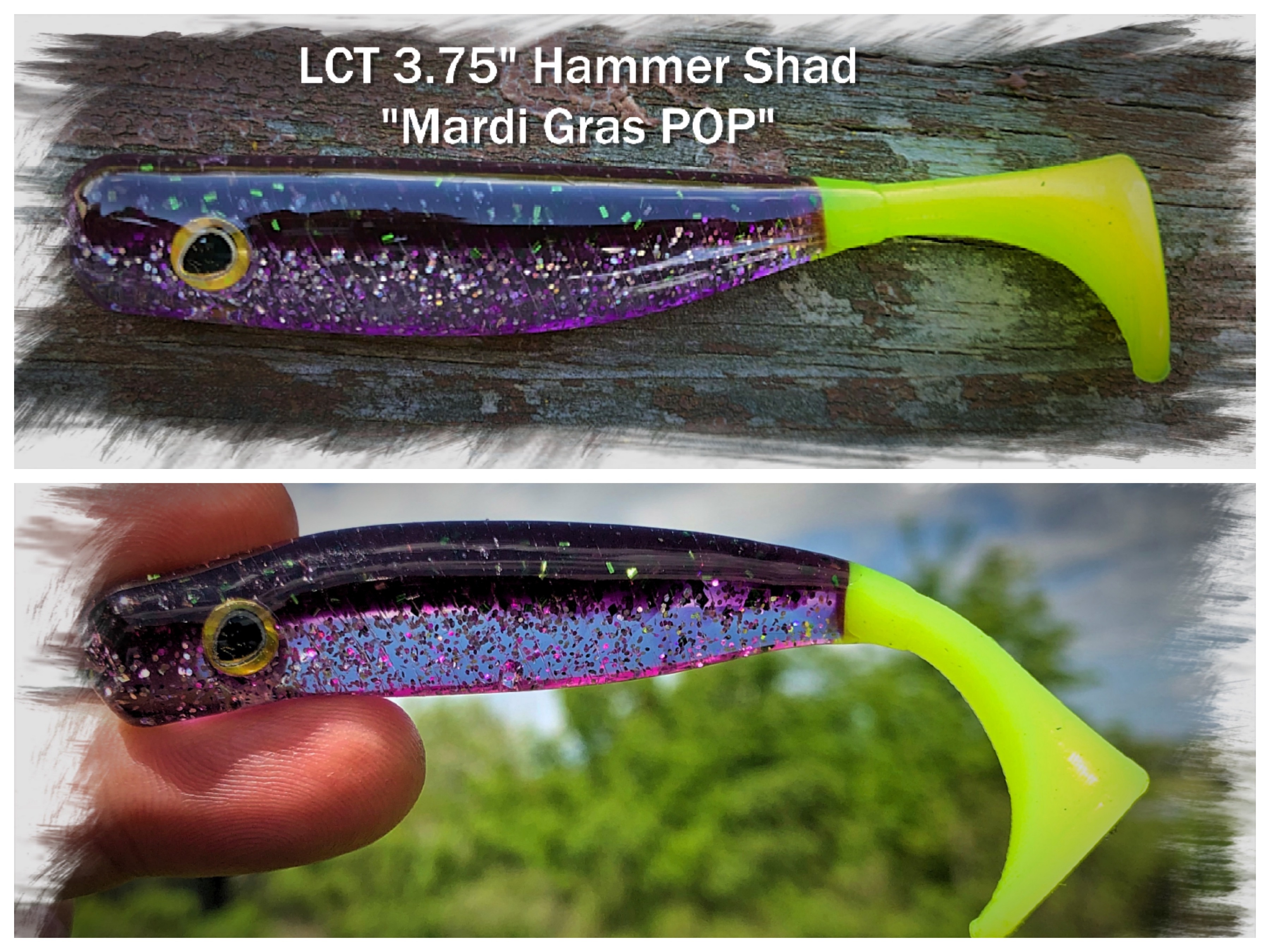 LCT 3.75″ Hammer Shad (5 Pack) Red Eyed Ghost Shad – Legacy Custom Tackle