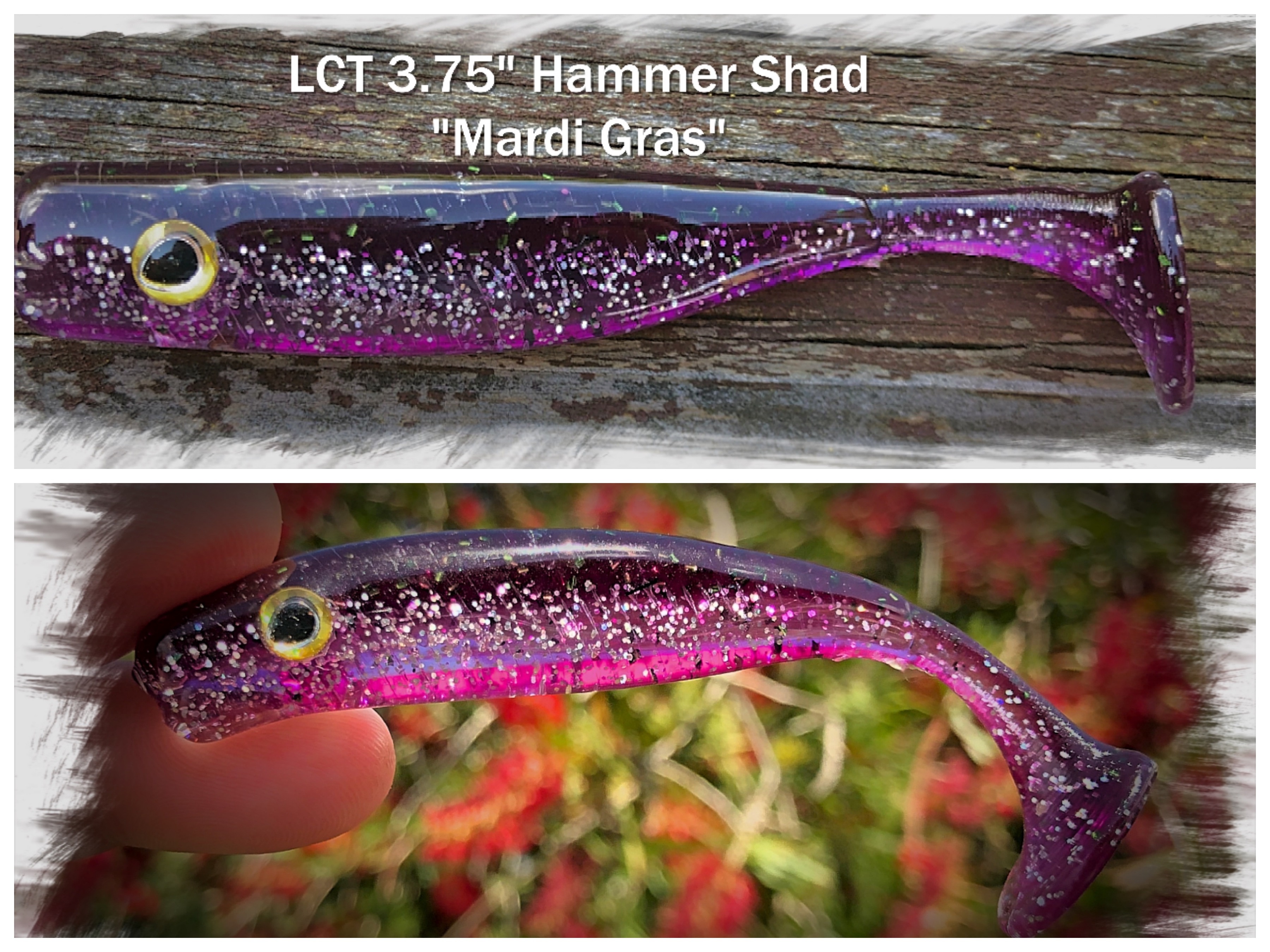 LCT 3.75 Hammer Shad (5 Pack) Mardi Gras