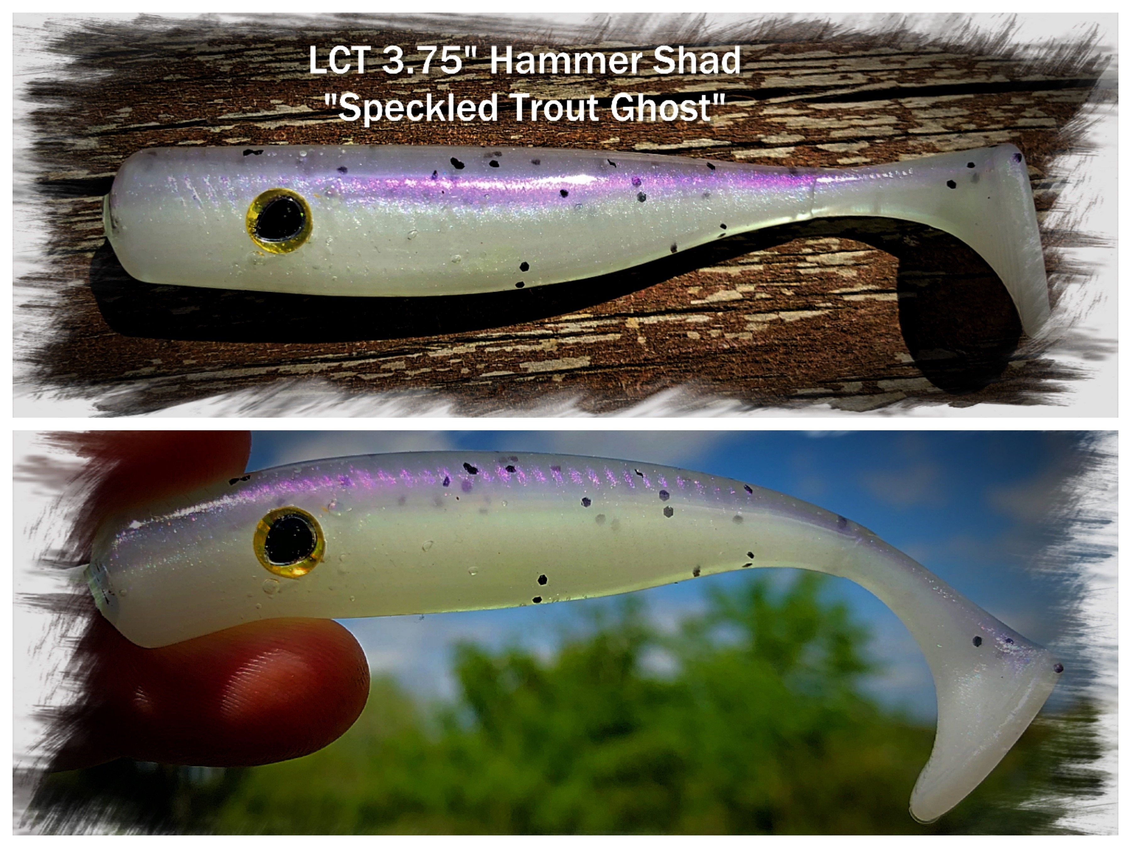 LCT 3.75 Hammer Shad (5 Pack) Speckled Trout Ghost