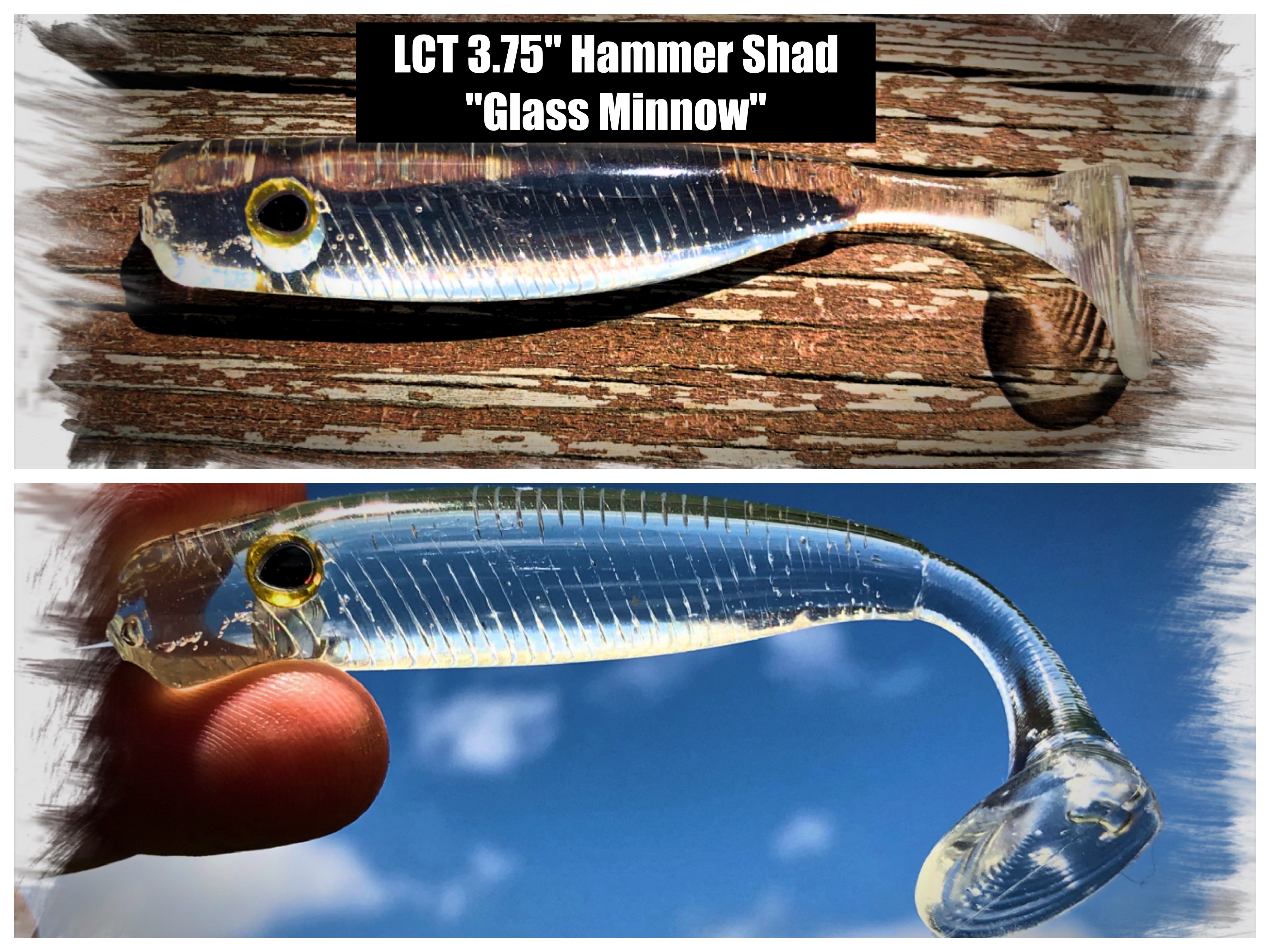 LCT 3.75″ Hammer Shad (5 Pack) Glass Minnow – Legacy Custom Tackle
