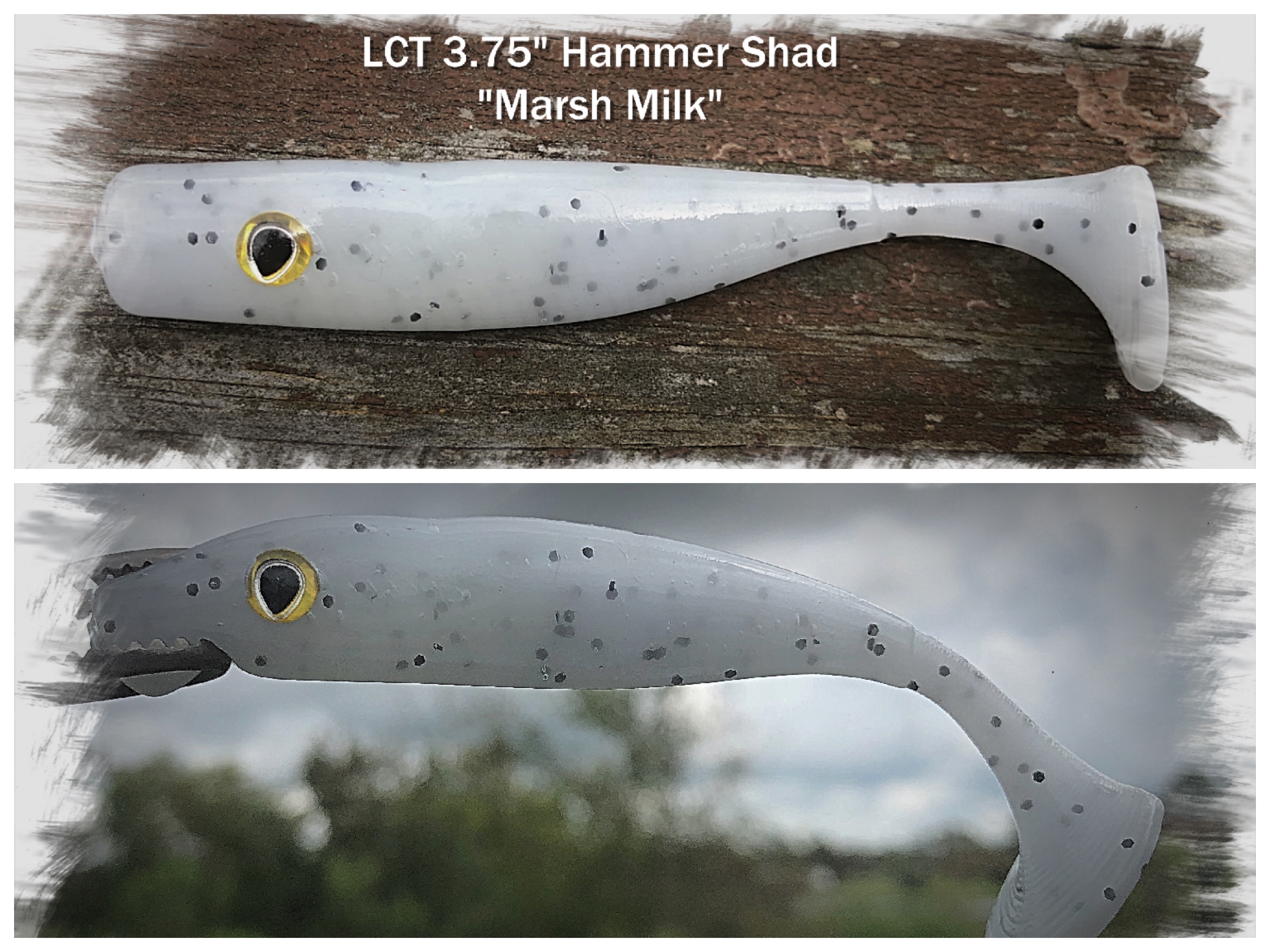 LCT 3.75″ Hammer Shad (5 Pack) Marsh Milk – Legacy Custom Tackle