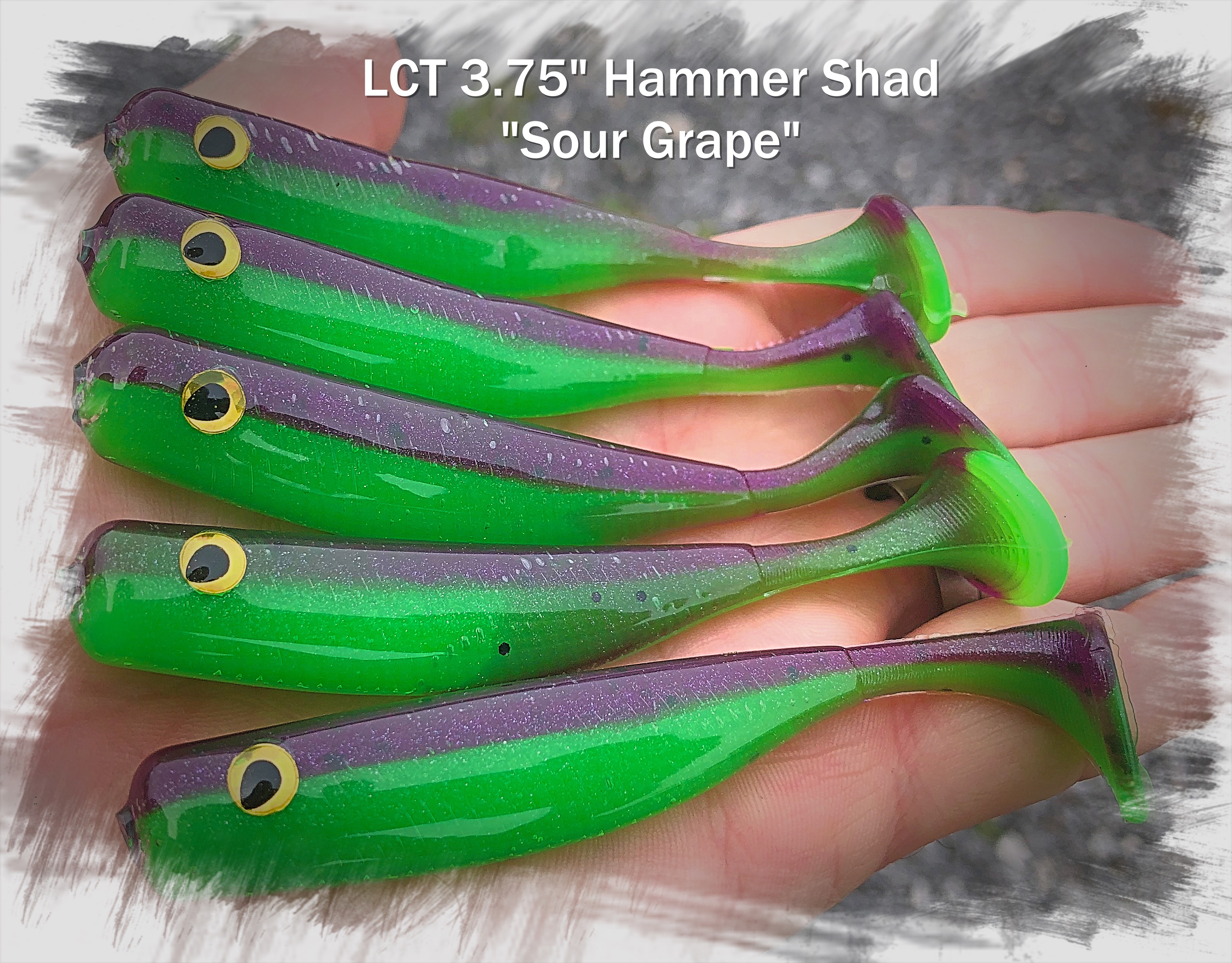 LCT 3.75″ Hammer Shad (5 Pack) White Pearl Fire Tail – Legacy