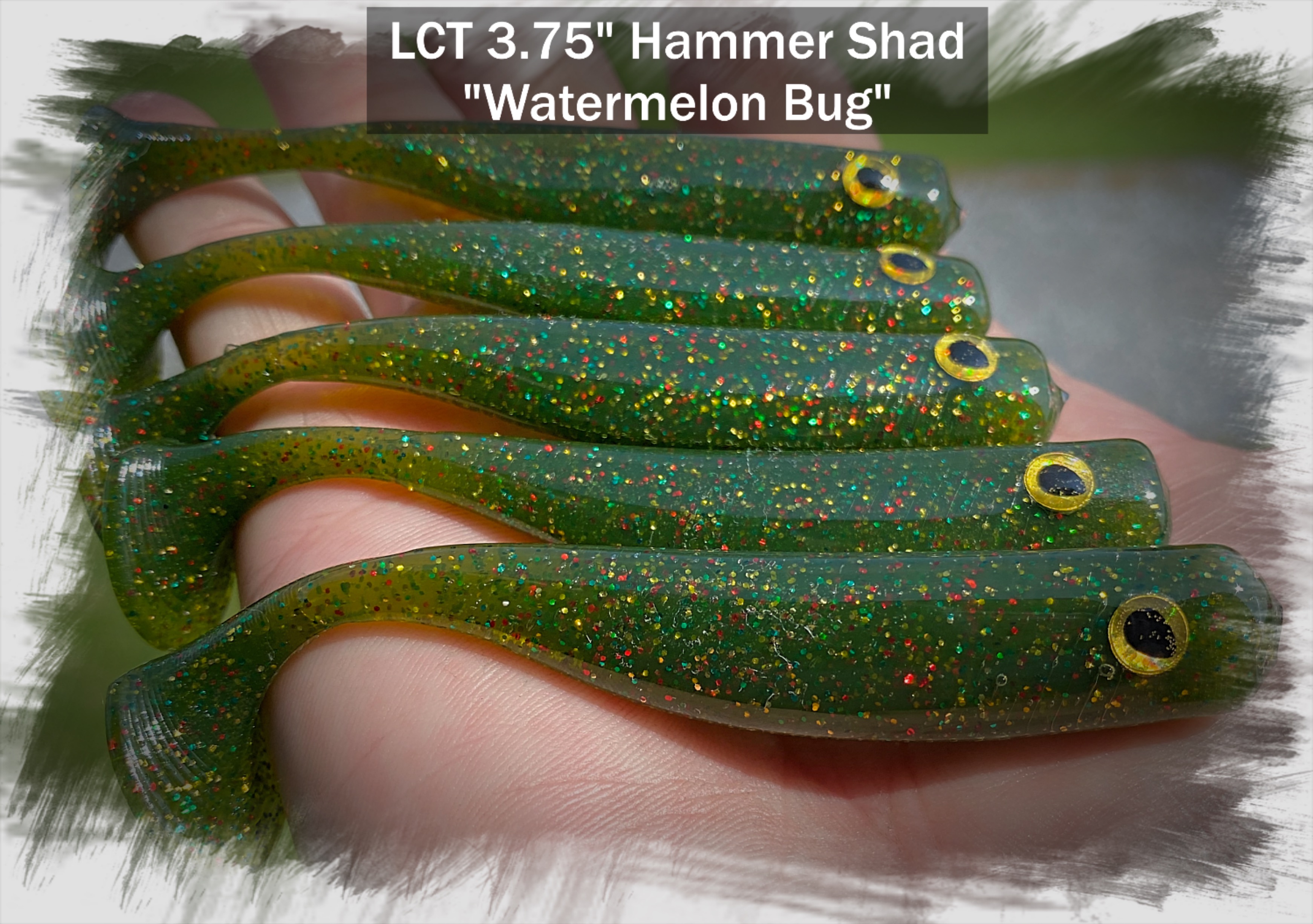 LCT 3.75″ Hammer Shad (5 Pack) Watermelon Bug – Legacy Custom Tackle