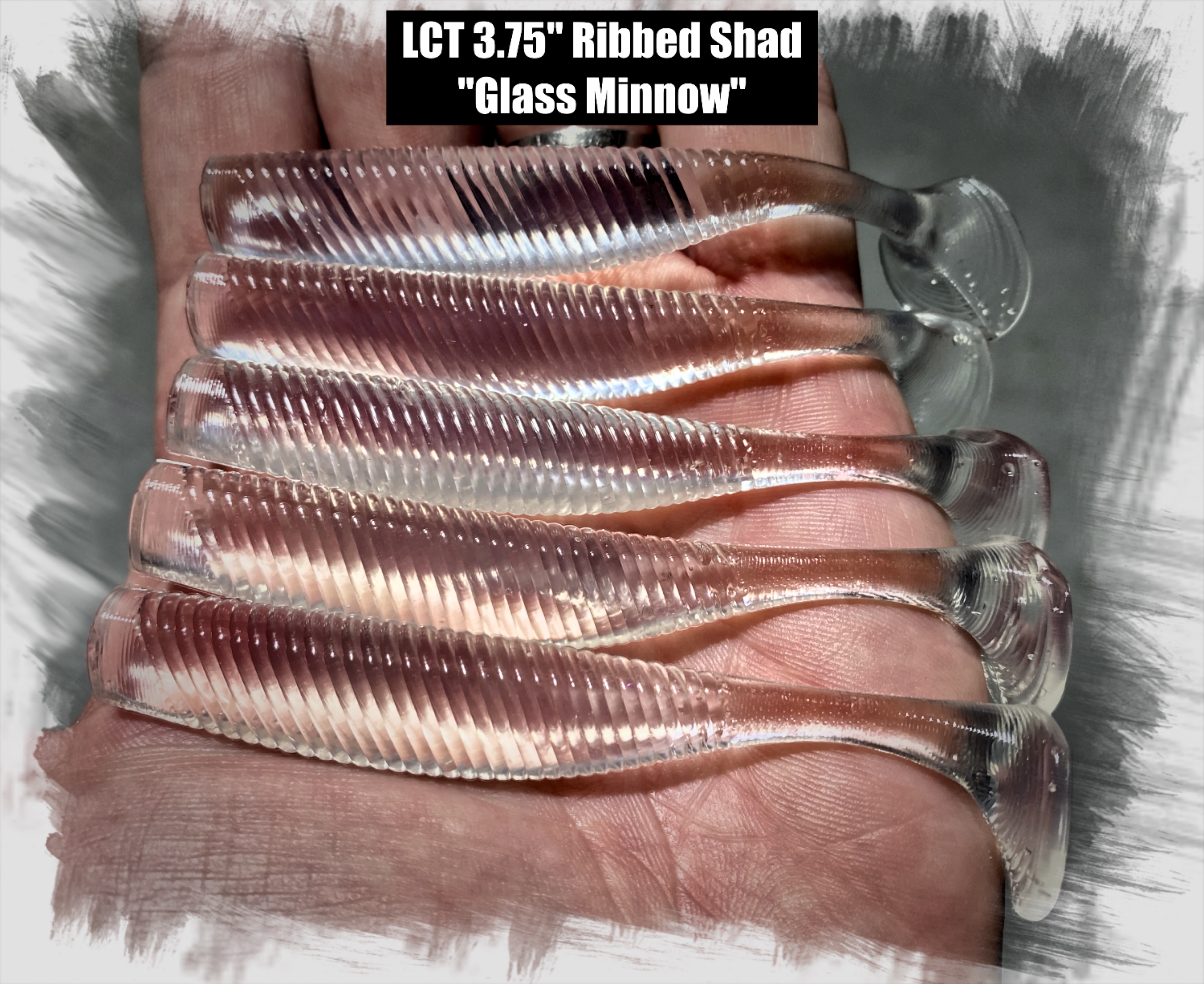 LCT 3.75 Hammer Shad (5 Pack) Glass Minnow